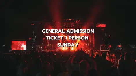 ONE DAY PASS TICKET 1 PERSON - SUNDAY WEEK 2